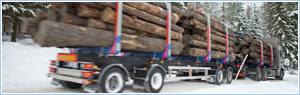 Truck transport, road freight transport, loads for trucking, backway trucks for freight transportation, delivery cargo.